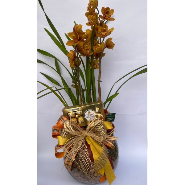 Orquídea Cymbidium GR cachepo de vidro + ferrero